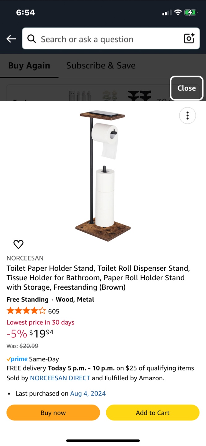Freestanding Toilet Paper Holder with Storage