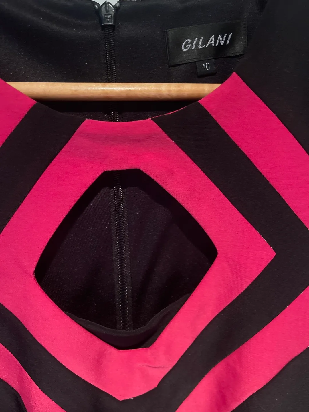 Gilani Sleeveless Black and Pink Dress, Size 10 image indicator(2)