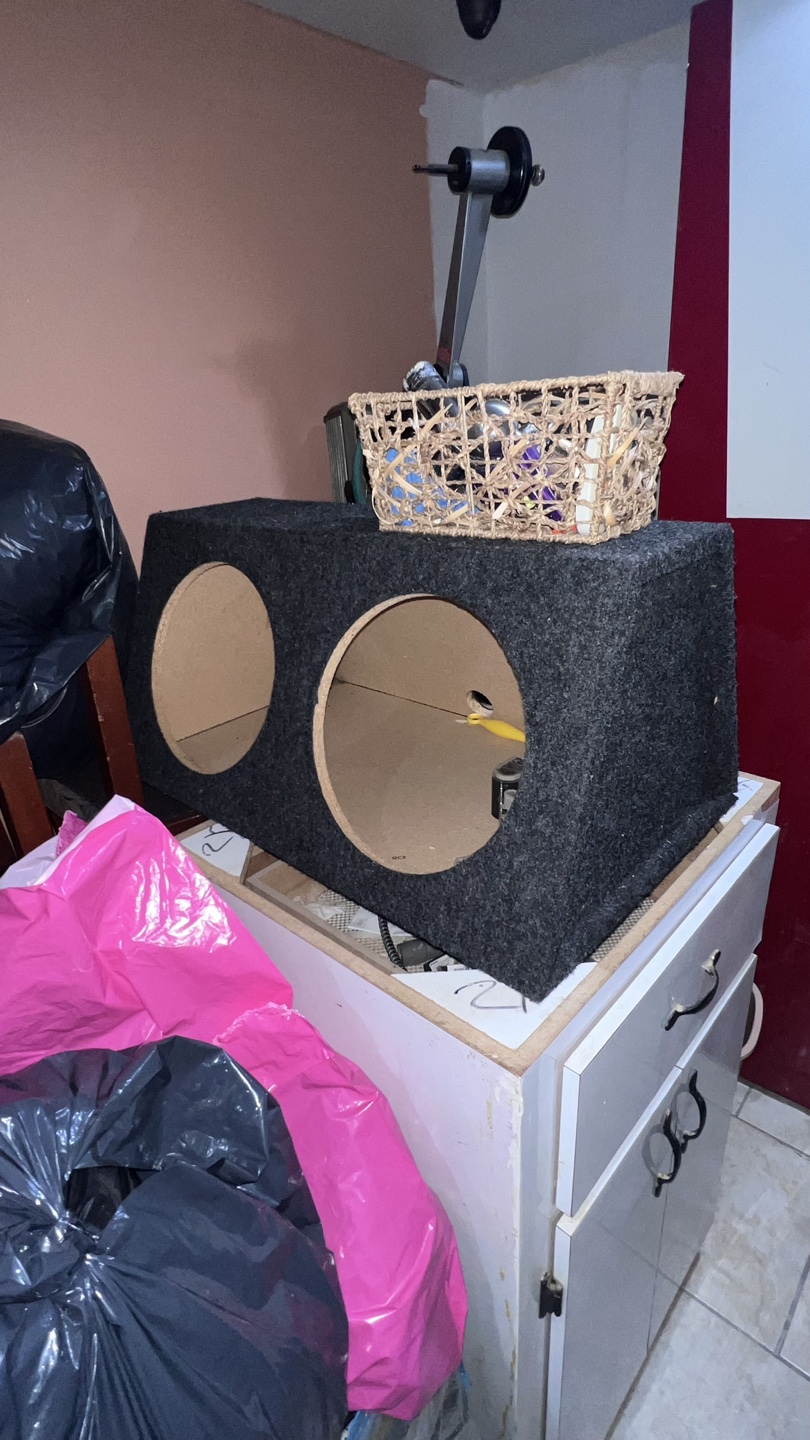 Dual 12" Subwoofer Box - photo 4