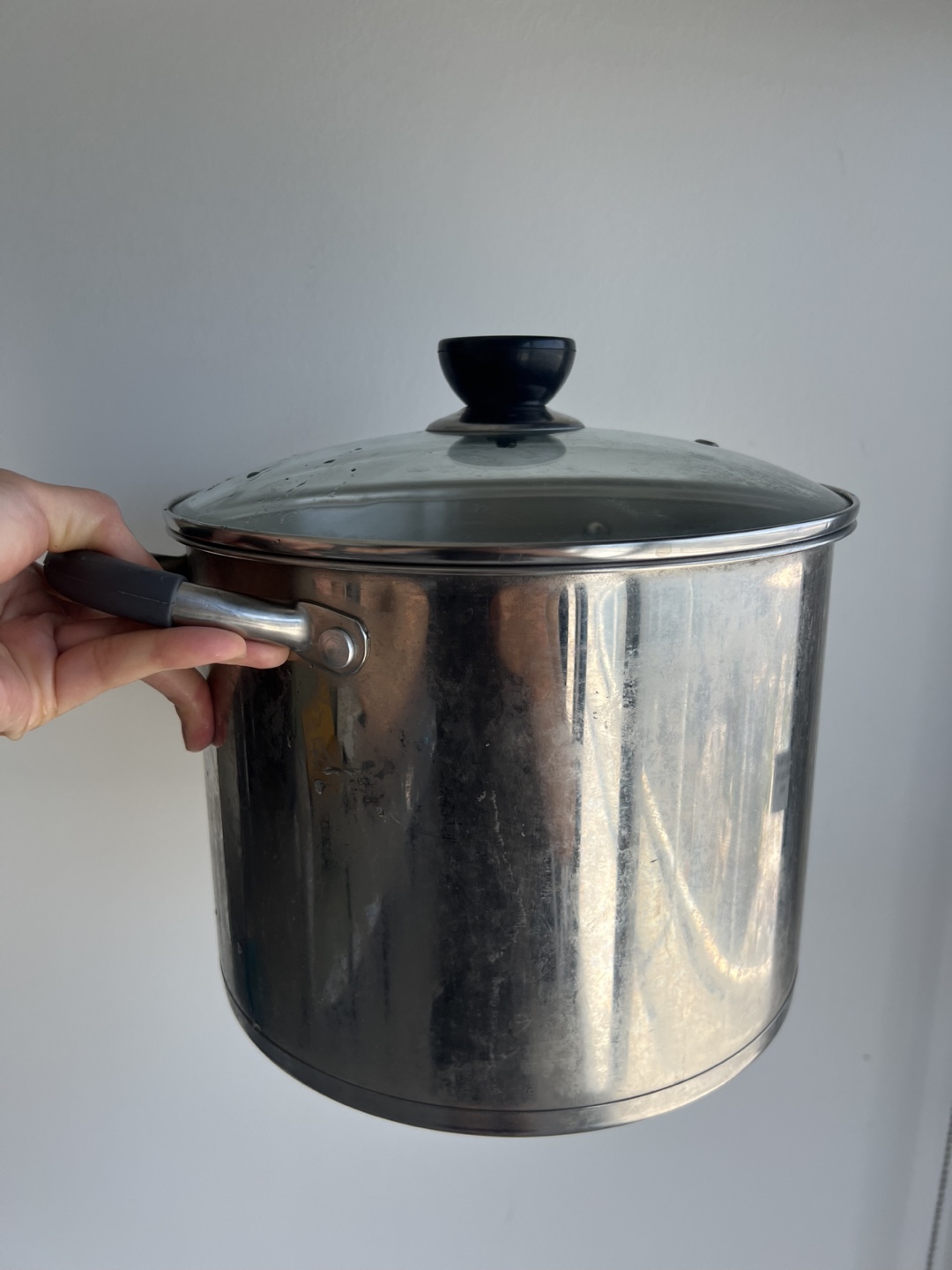 La Sera 7L Stainless Steel Stock Pot with Lid