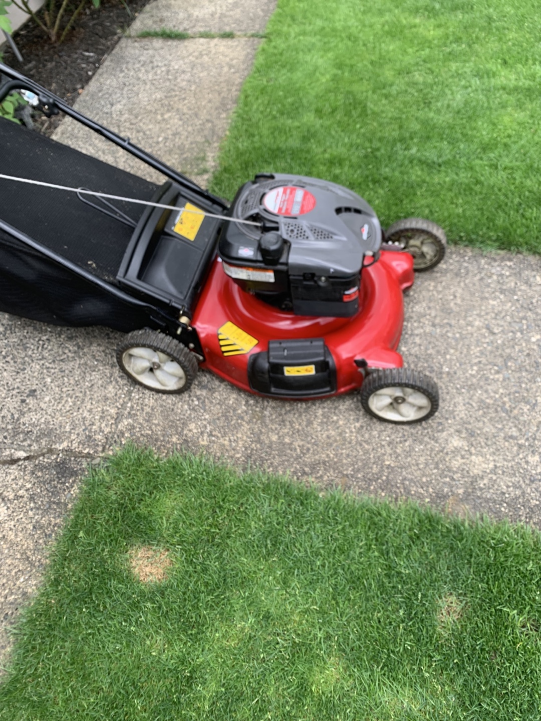 Gas Powered Push Lawn Mower