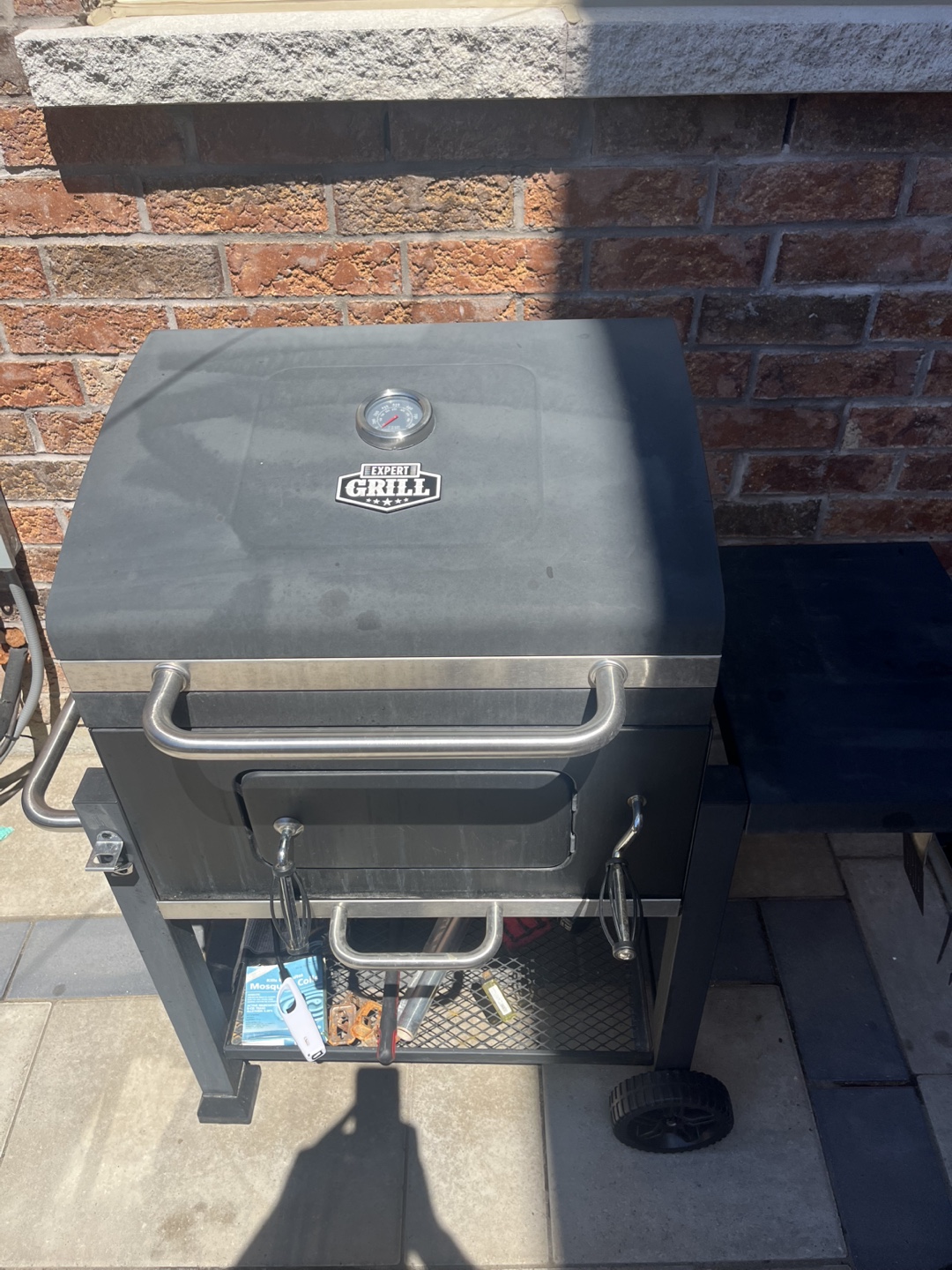 Expert Grill Charcoal BBQ