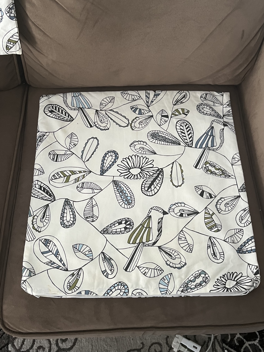 Decorative Cushion Cover (2)