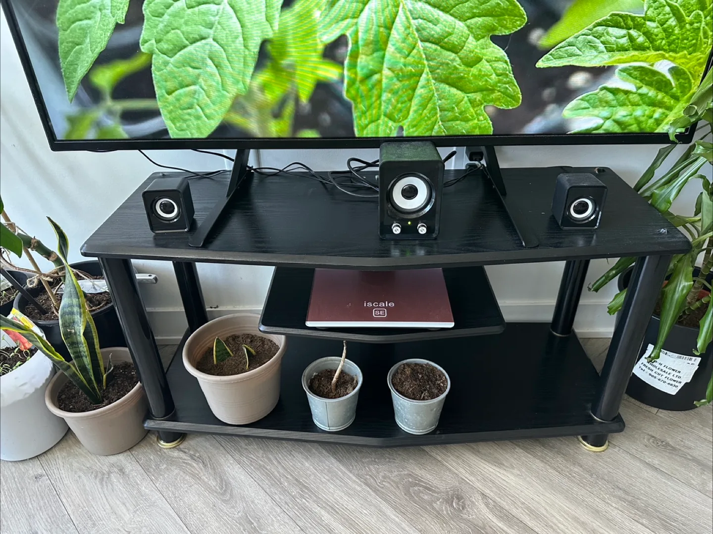 Sleek Black TV Table – Sturdy & Stylish with Shelf image indicator(2)