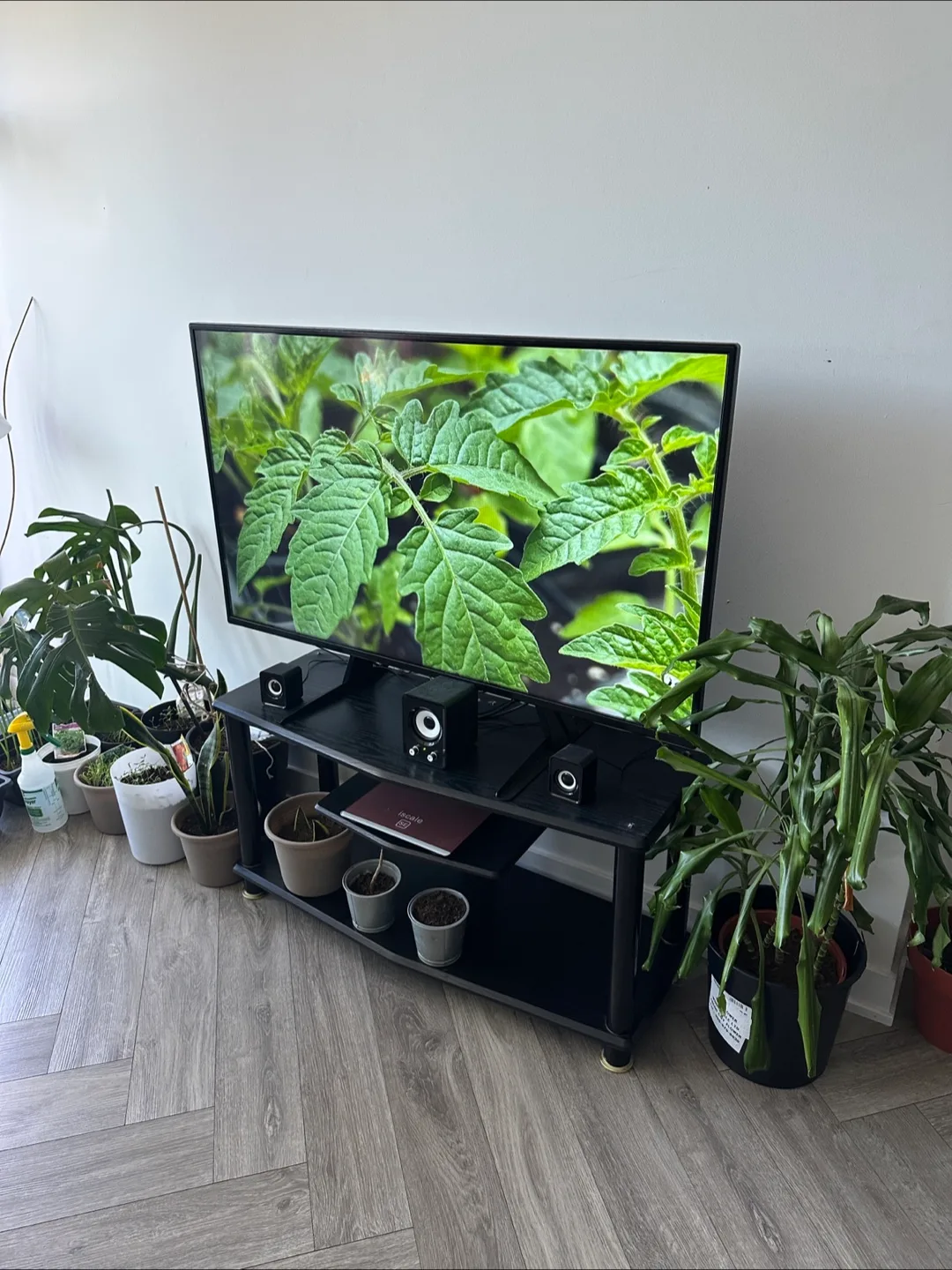 Sleek Black TV Table – Sturdy & Stylish with Shelf
