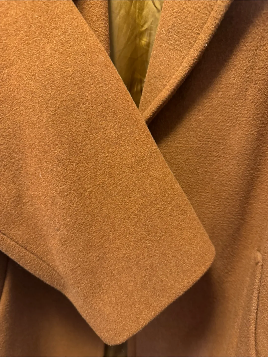 Maroon Coat image indicator(4)