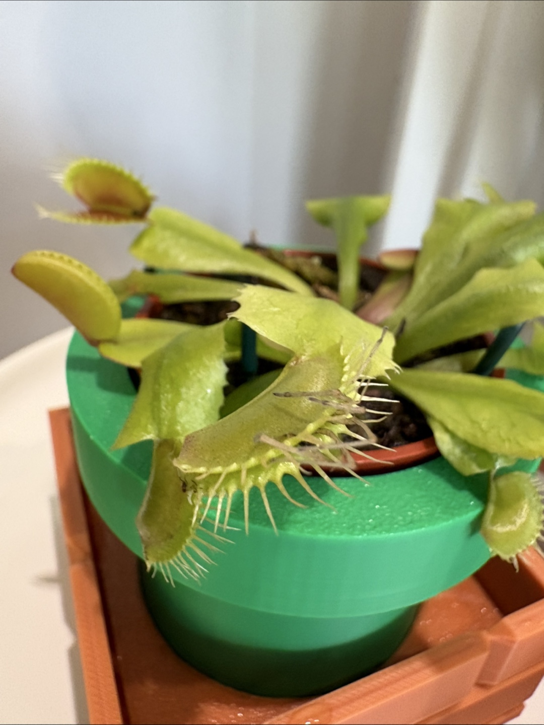 Venus Fly Trap Nintendo Super Mario-Inspired Pipe Planter - photo 2
