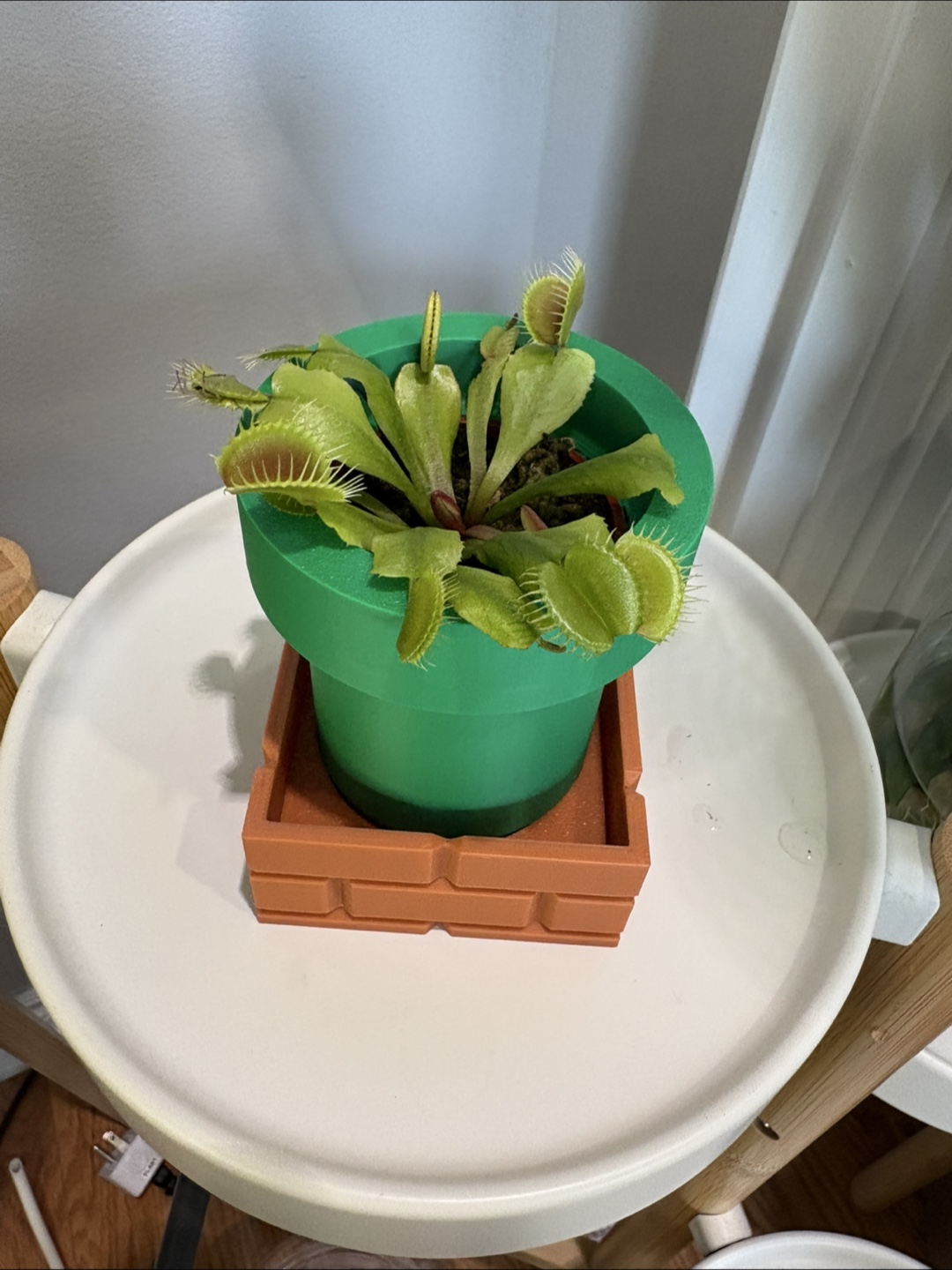 Venus Fly Trap Nintendo Super Mario-Inspired Pipe Planter