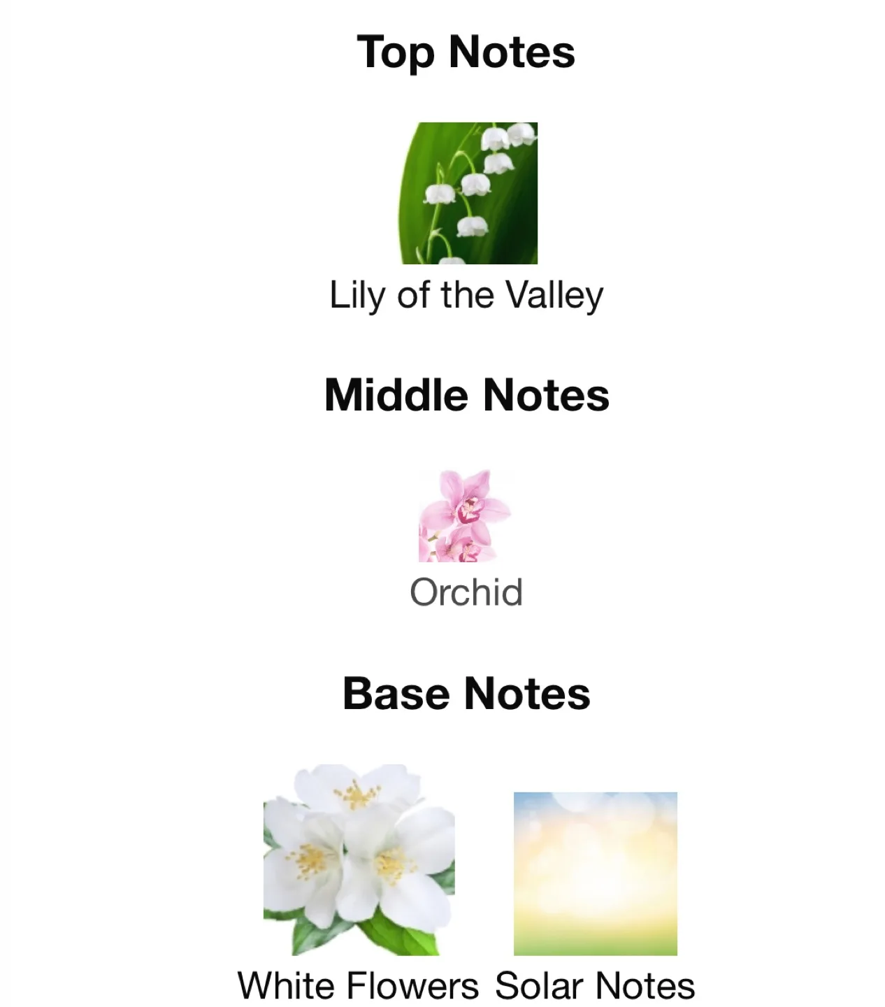 Zara Blue Bird Orchid Eau de Parfum 100ml image indicator(3)