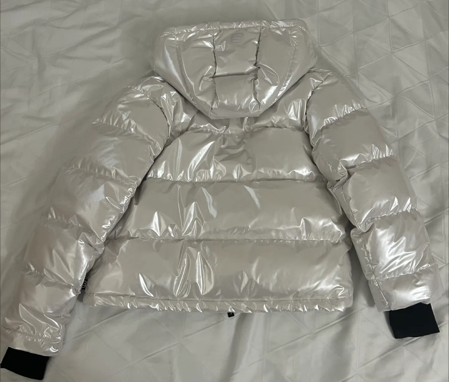 Aritzia- Super Puff Jacket - Size M image indicator(4)