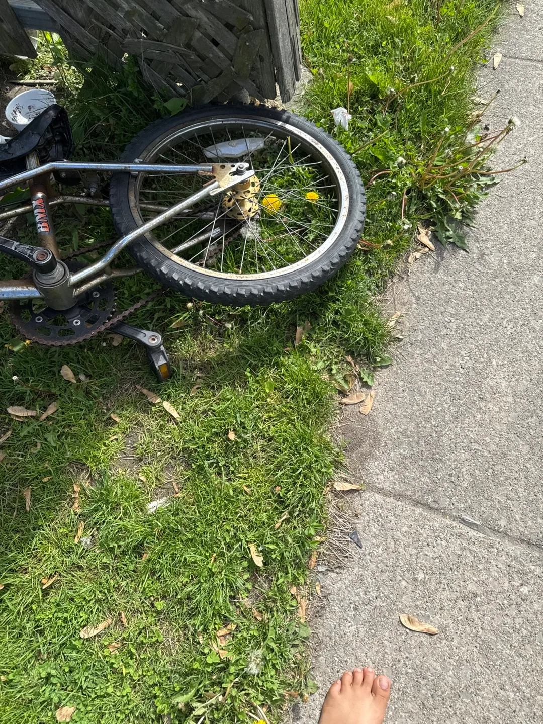 Vintage Univega BMX Bike image indicator(3)