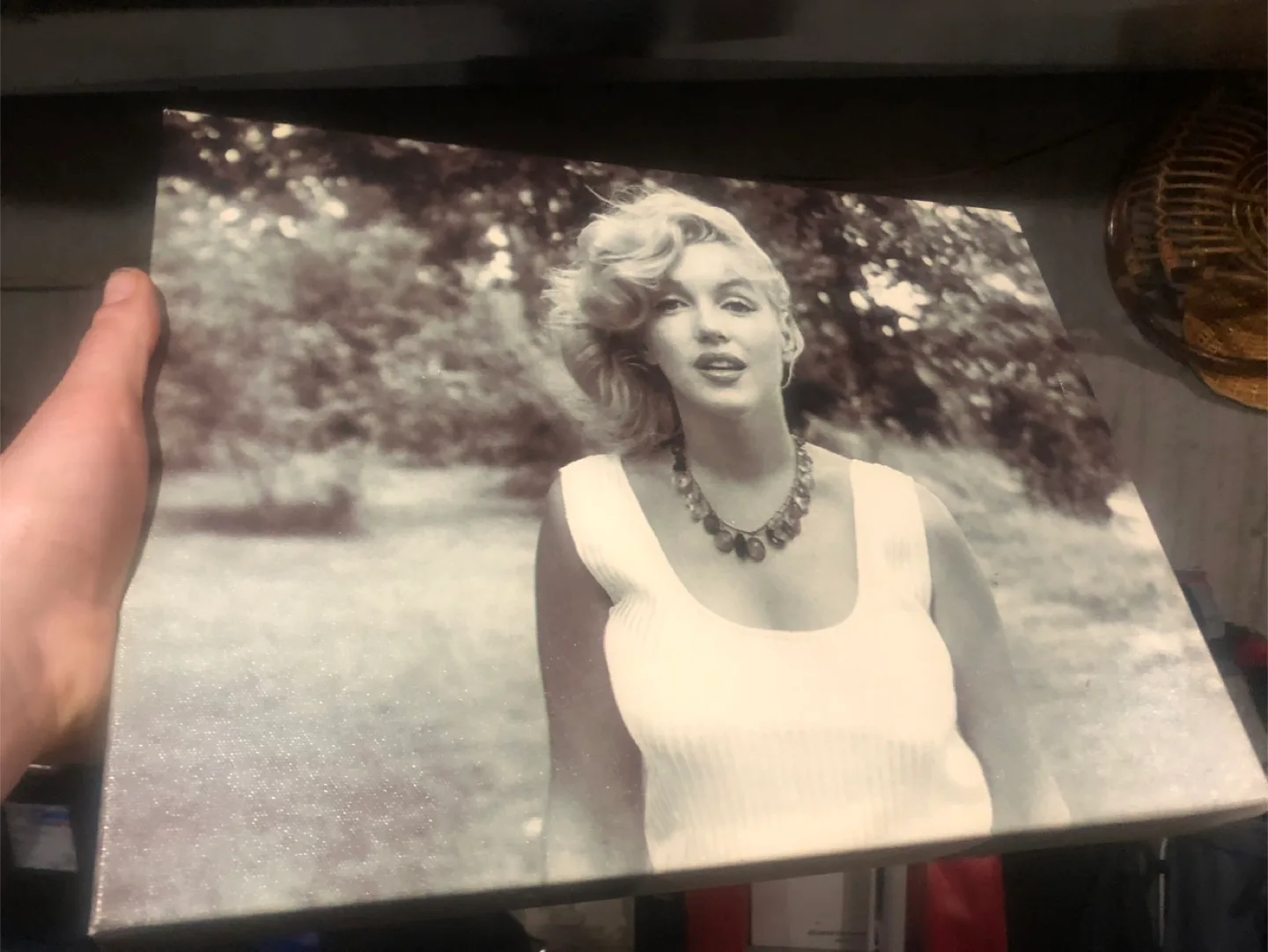 Marilyn Monroe Canvas Print thumbnail