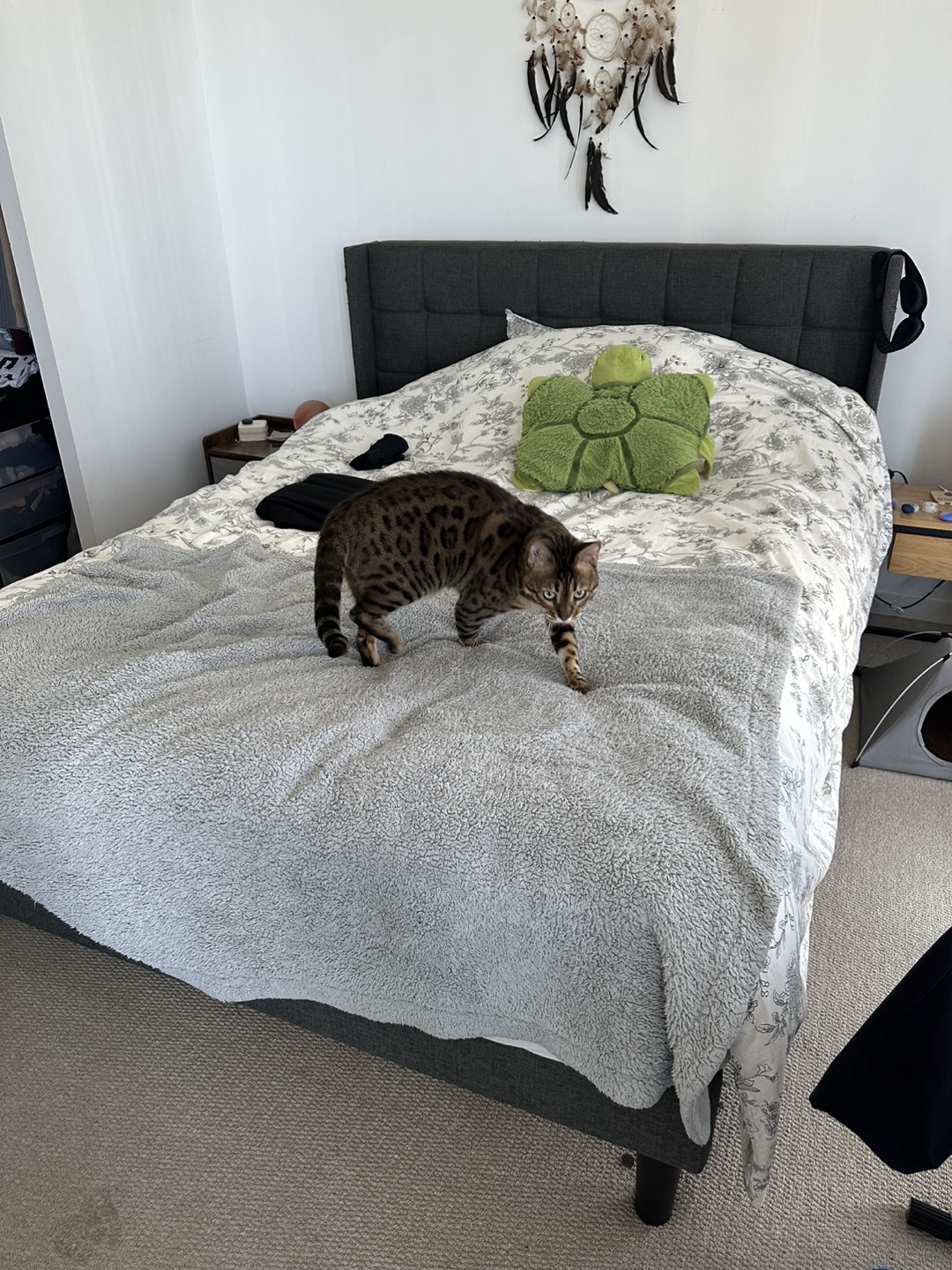 Queen Upholstered Bed Frame with Minor Damage