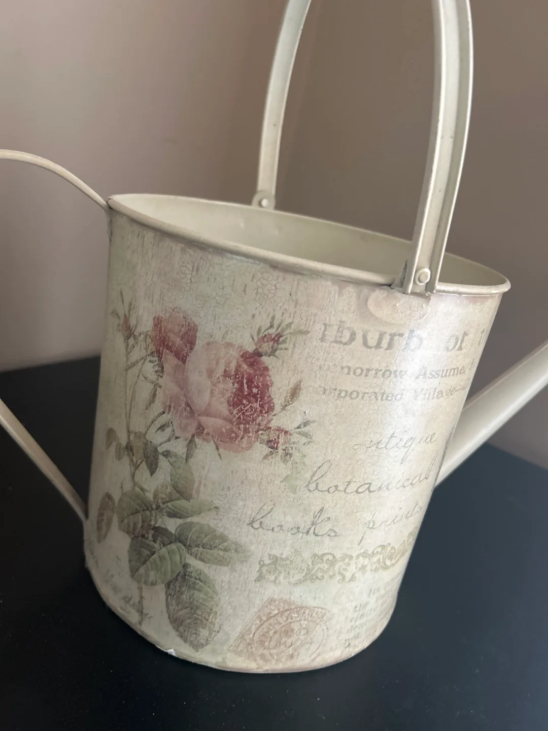 Vintage-Style Metal Watering Can image indicator(2)