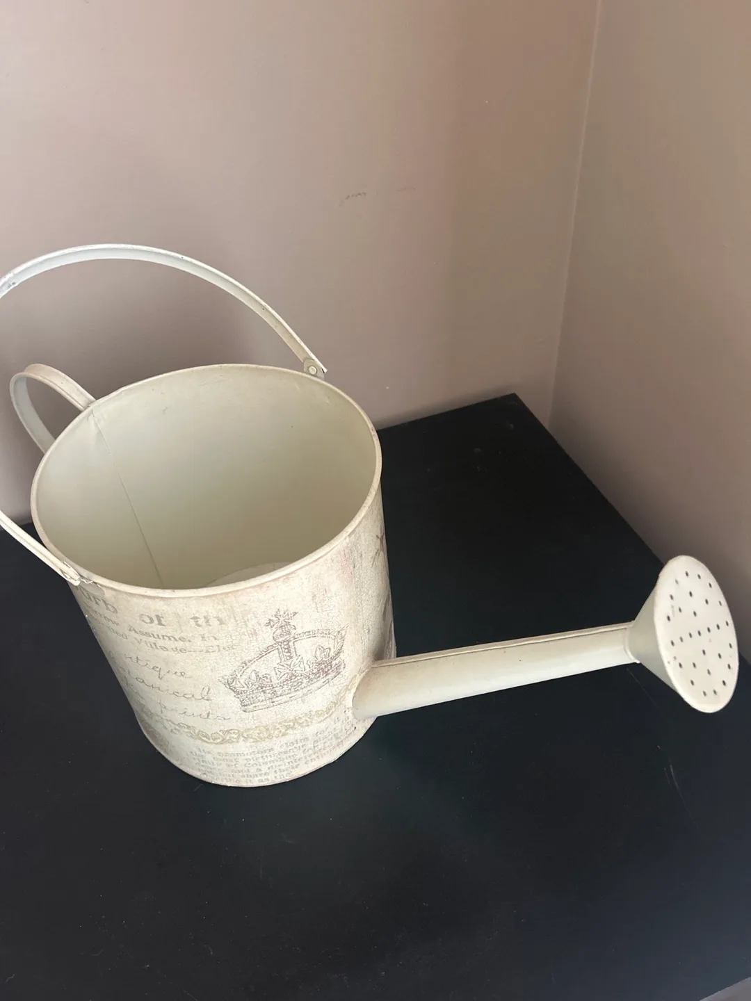 Vintage-Style Metal Watering Can image indicator(4)