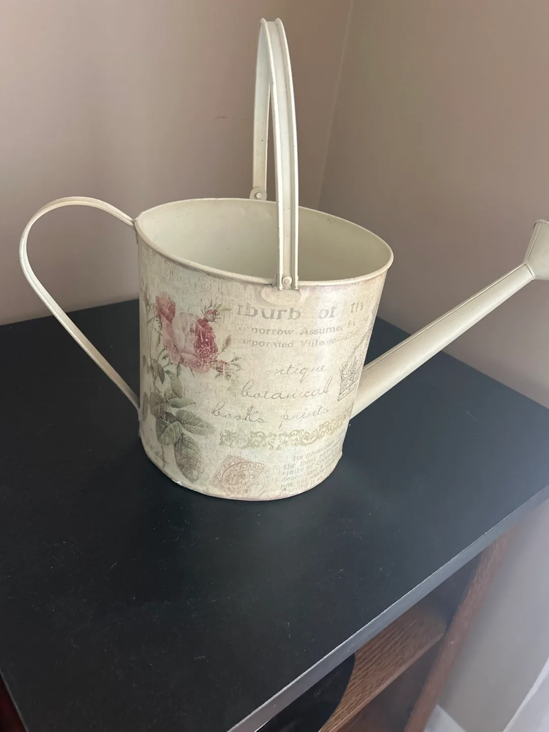 Vintage-Style Metal Watering Can thumbnail