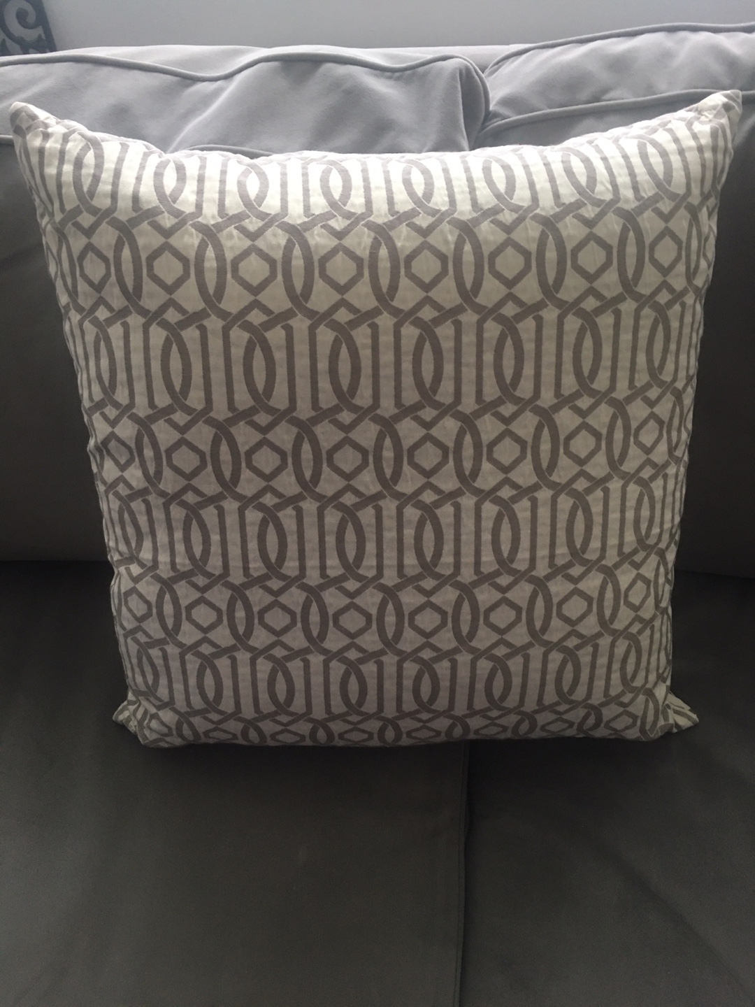 Decorative Throw Pillow