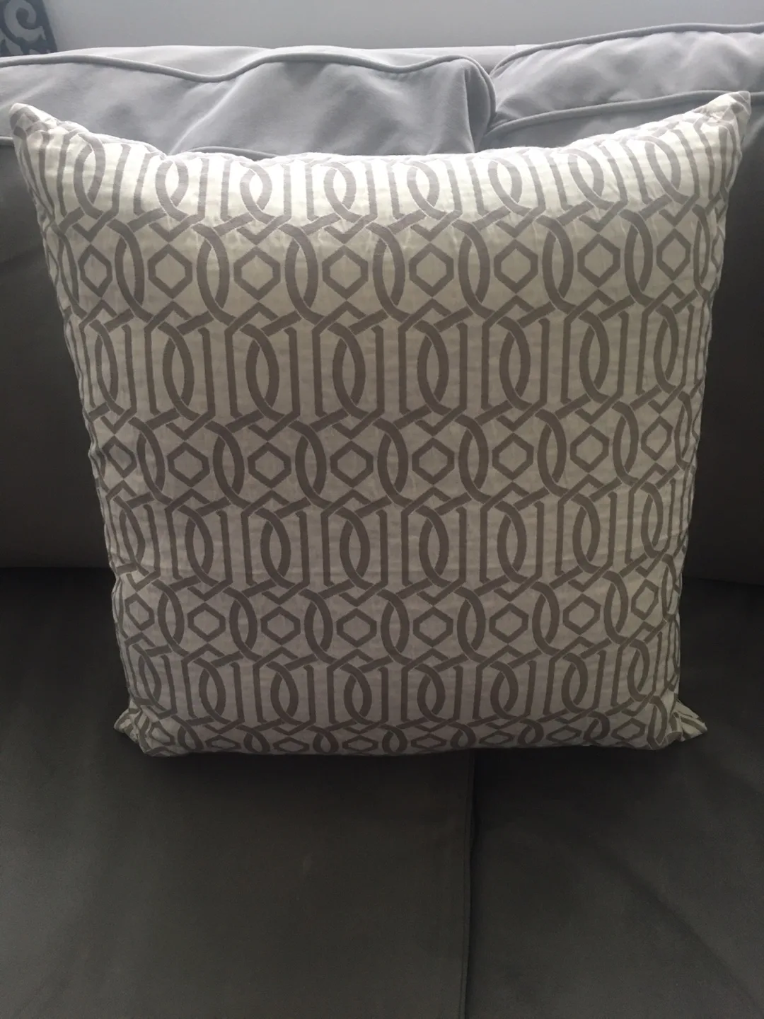 Decorative Throw Pillow thumbnail