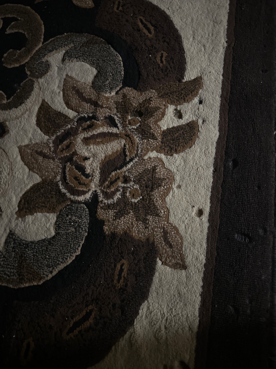 Large Dark Brown and Beige Area Rug - photo 2