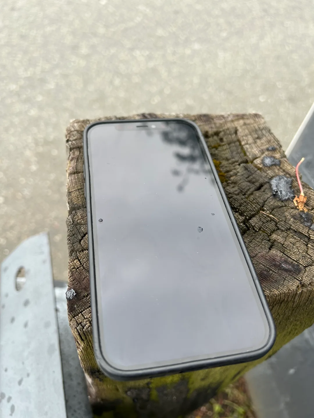 iPhone 12 Midnight image indicator(4)