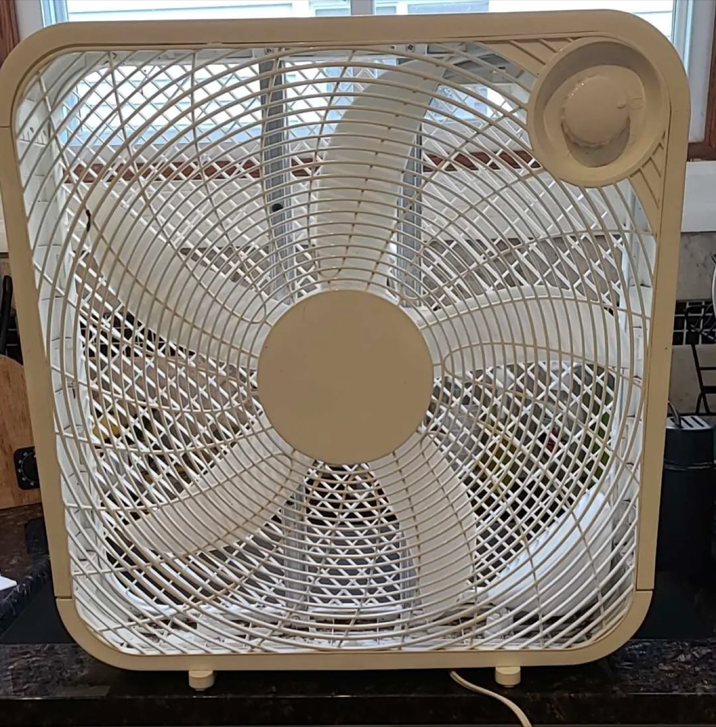 Box Fan - White thumbnail
