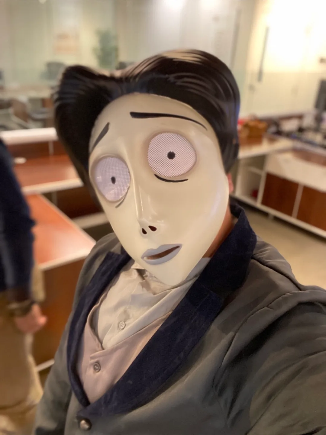 Victor Van Dort (Corpse Bride) Halloween Costume image indicator(2)