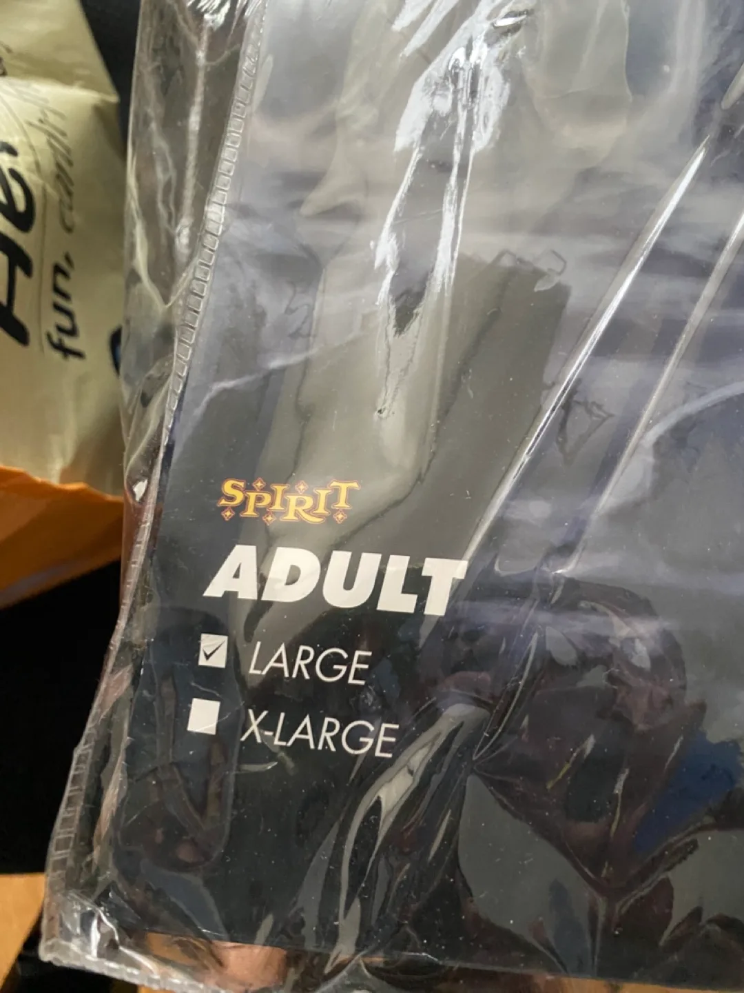 Victor Van Dort (Corpse Bride) Halloween Costume image indicator(6)