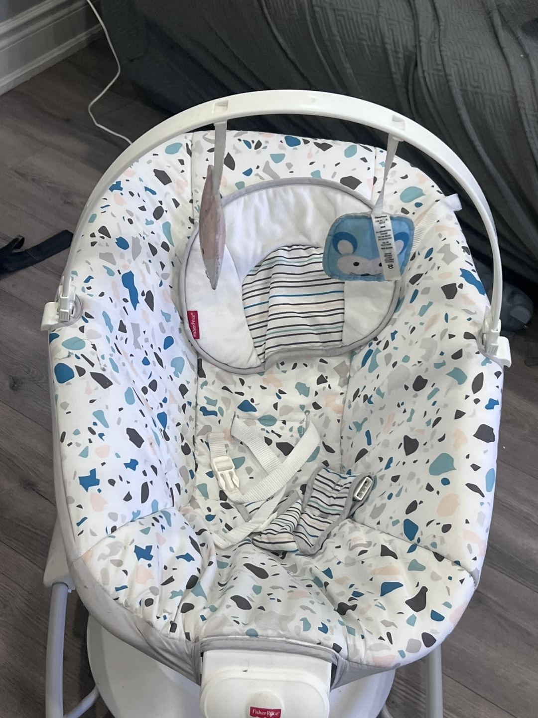 Fisher-Price Soothing Swing - photo 2