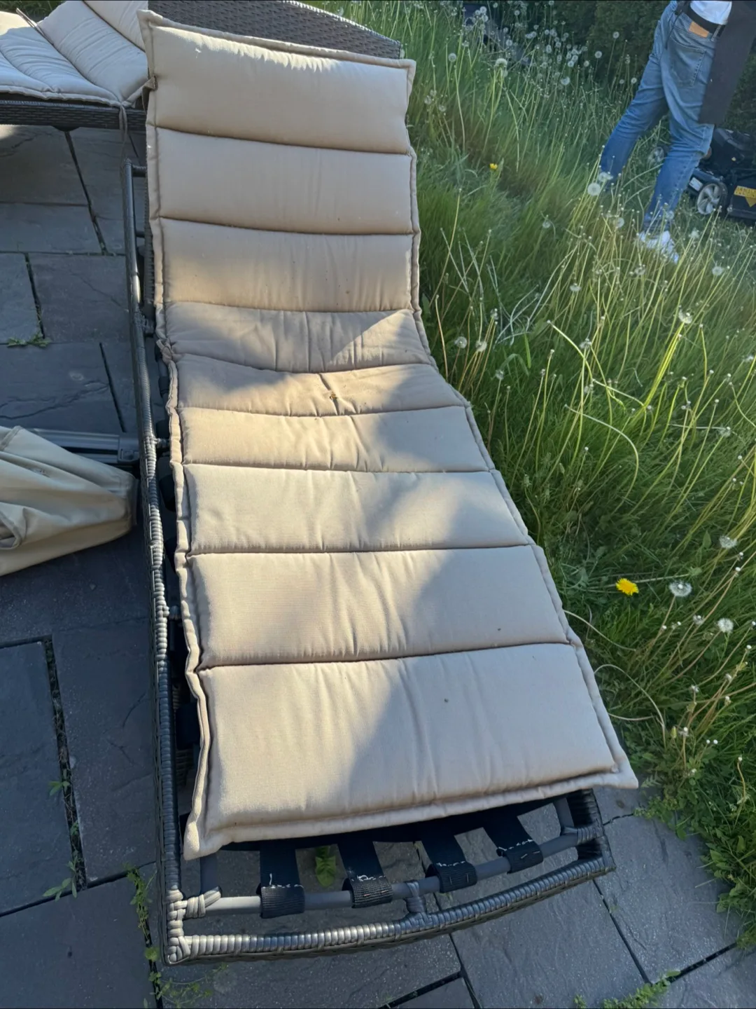 Outdoor Patio Chaise Lounge image indicator(3)