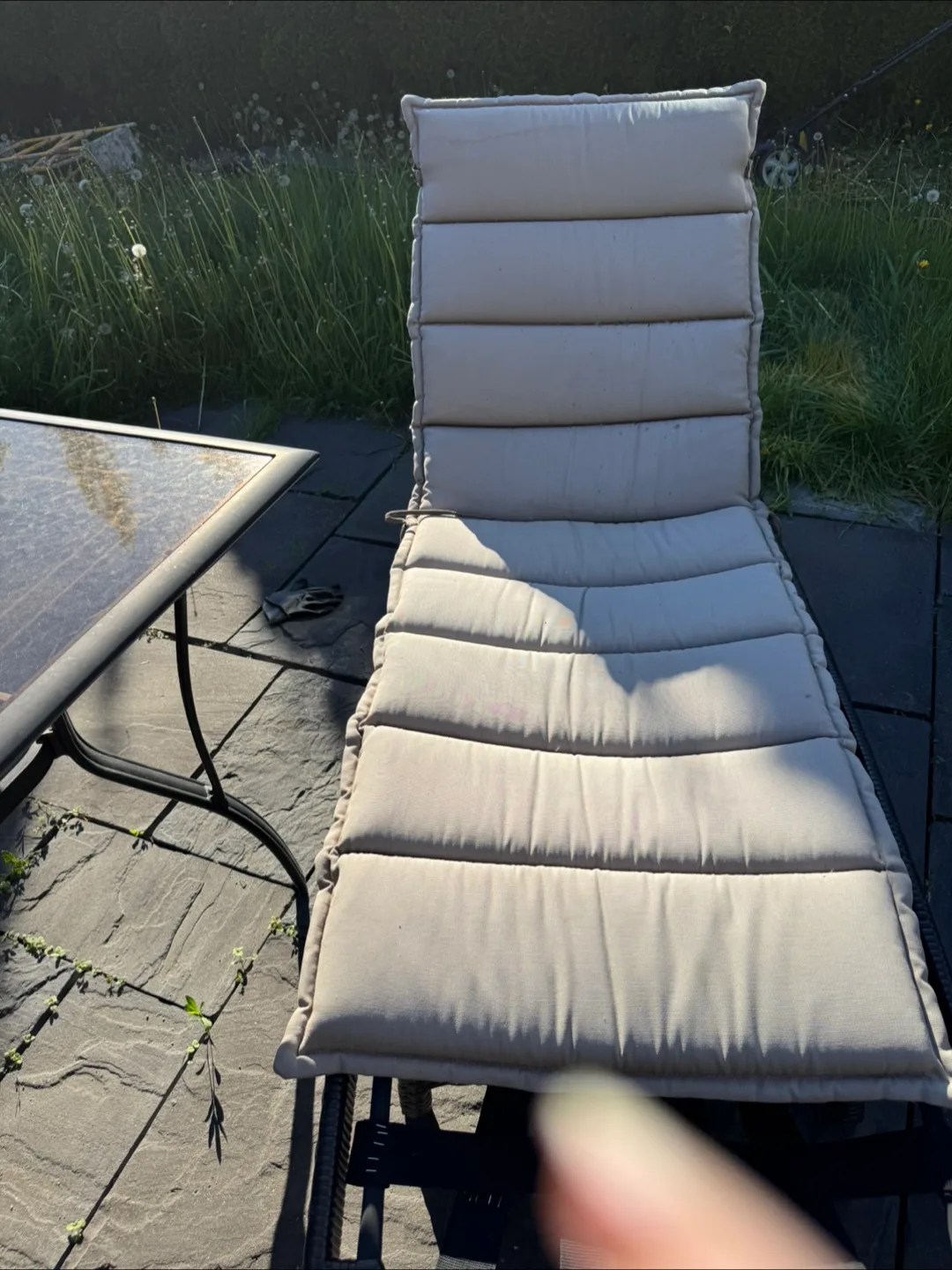 Outdoor Patio Chaise Lounge image indicator(5)