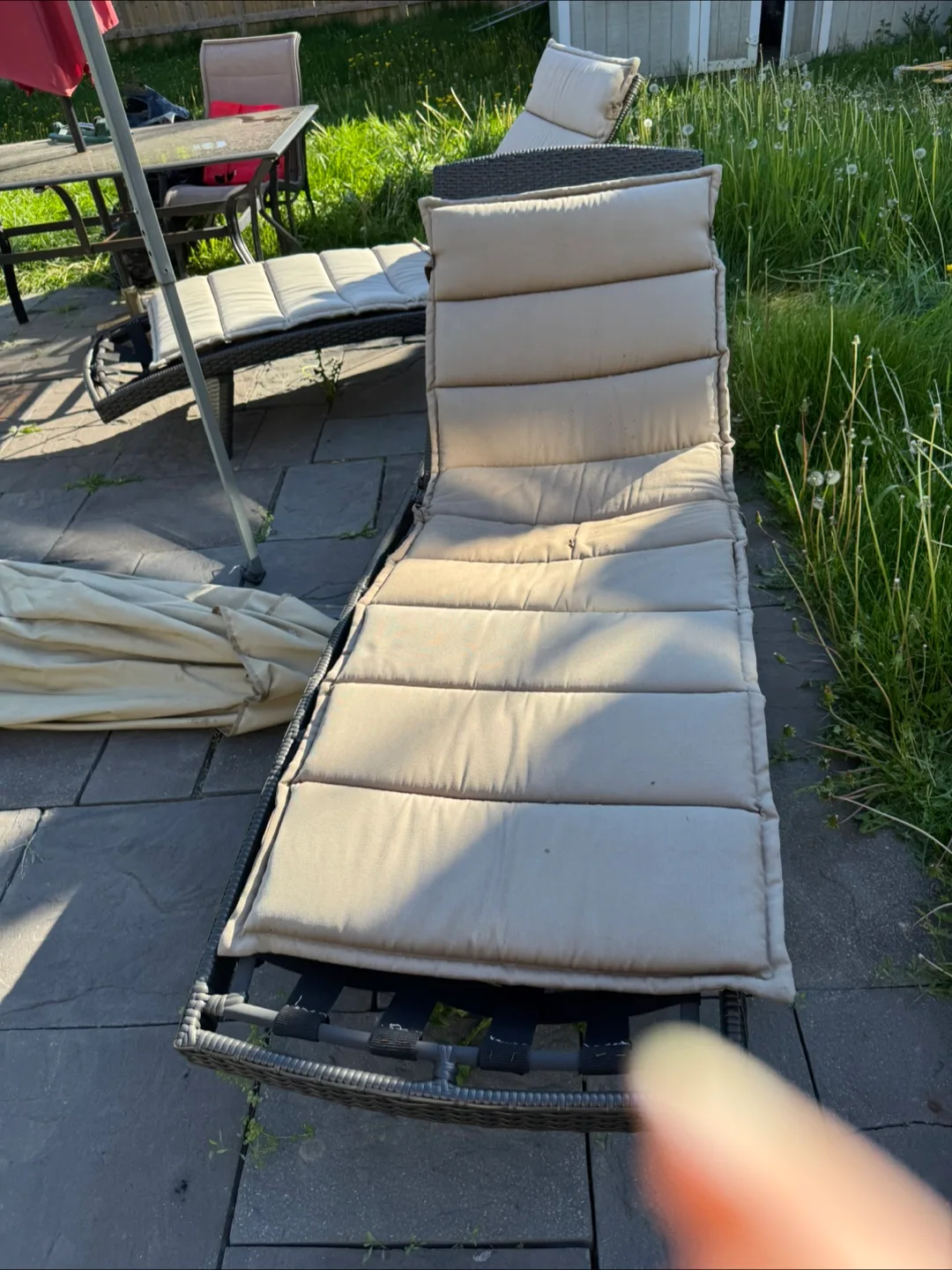 Outdoor Patio Chaise Lounge image indicator(2)