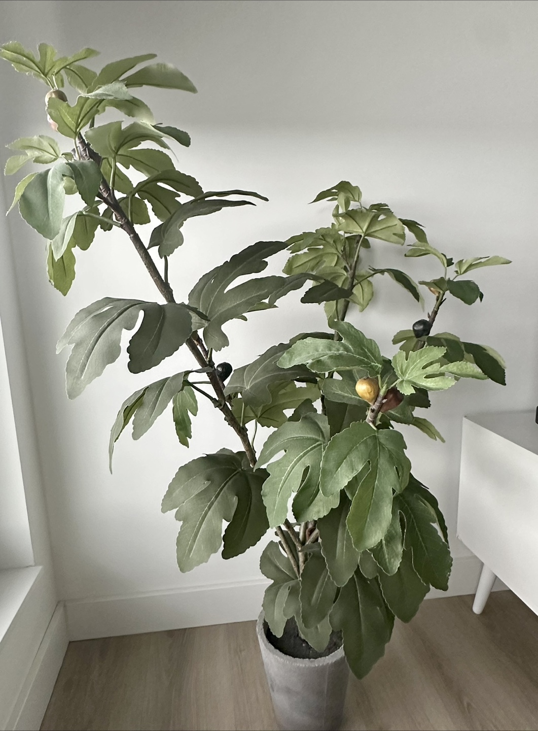 Large Artificial Fig Tree