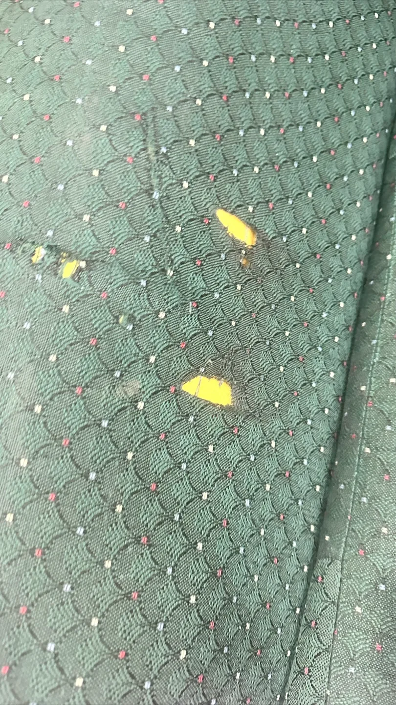 Green Loveseat image indicator(2)