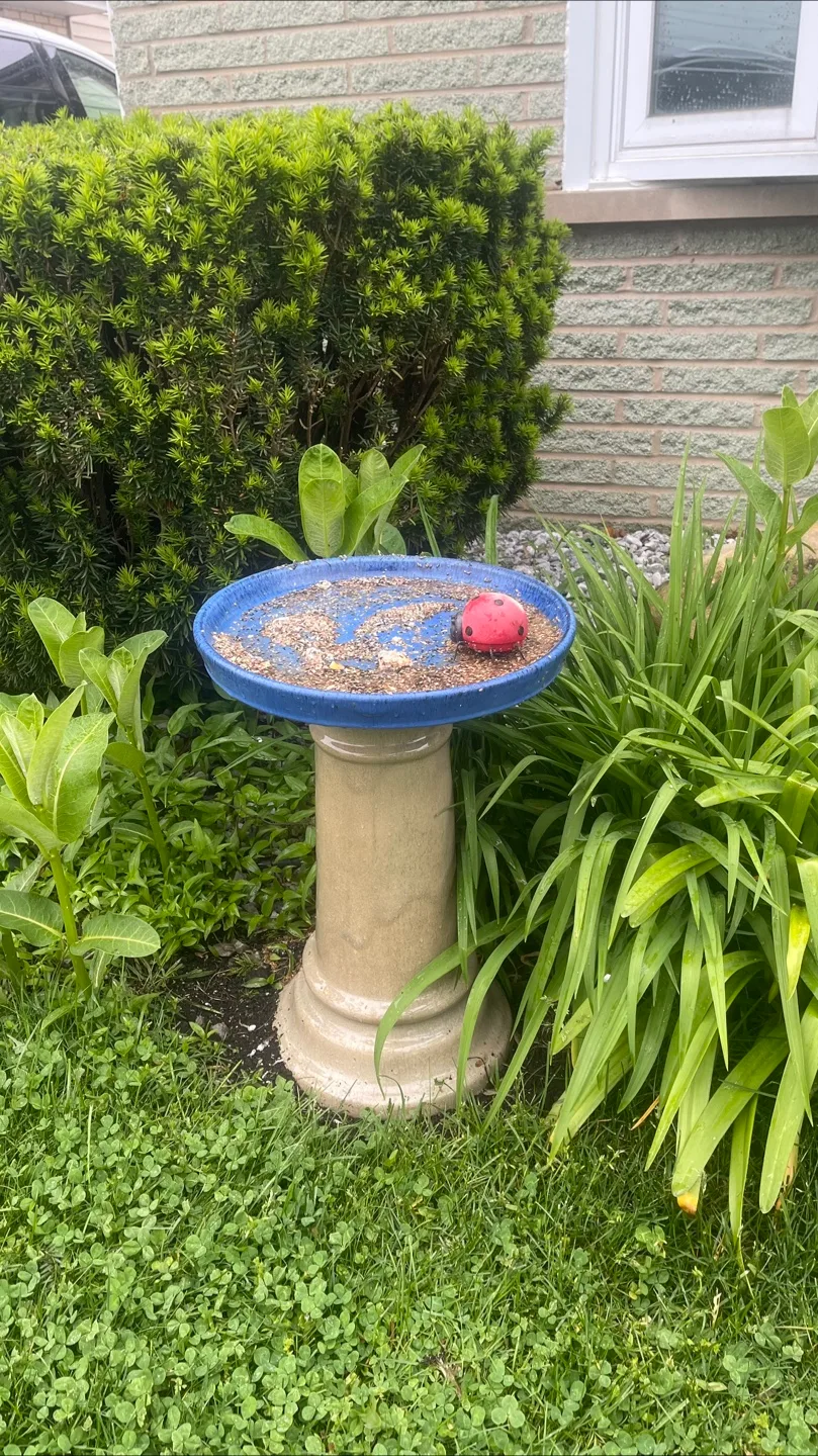 Garden Ceramic 2 piece set birdbath or feeder thumbnail