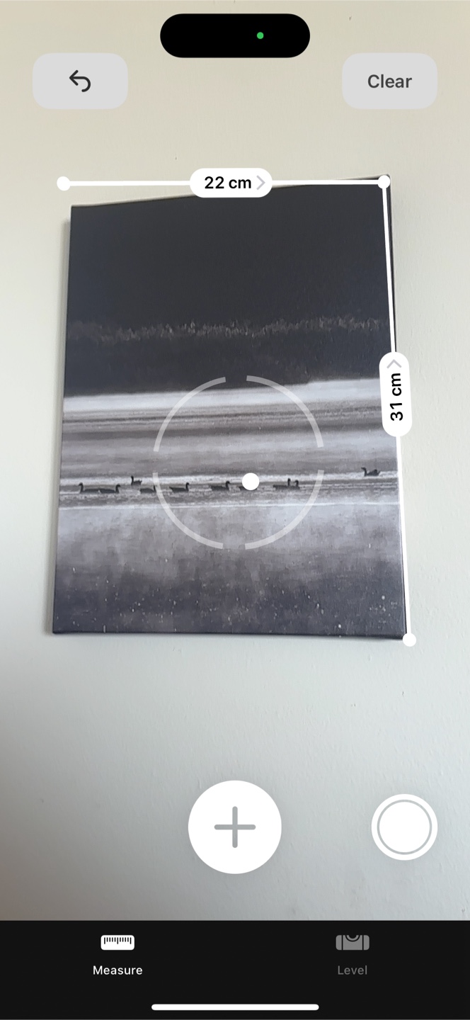 Canvas Wall Art - Birds on Water - photo 2