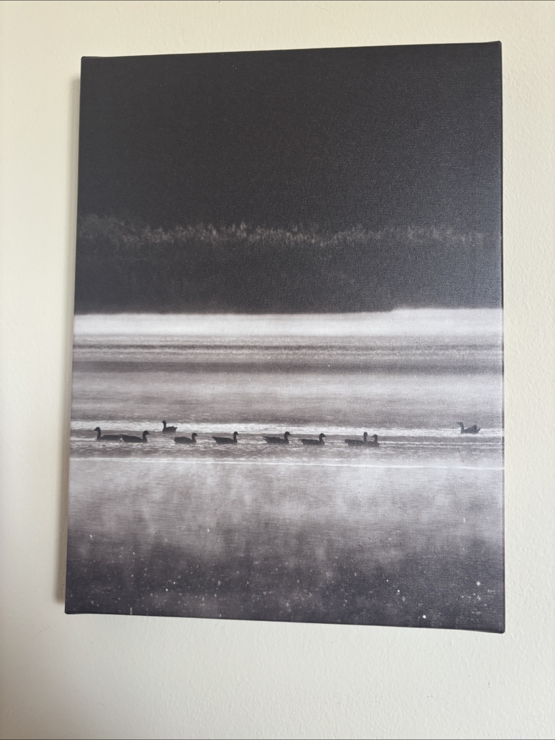 Canvas Wall Art - Birds on Water