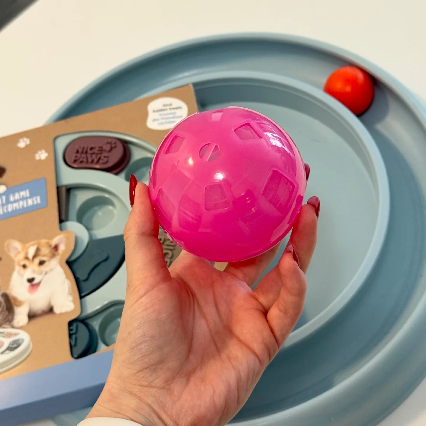 A bunch of pet items (3 pieces) image indicator(4)