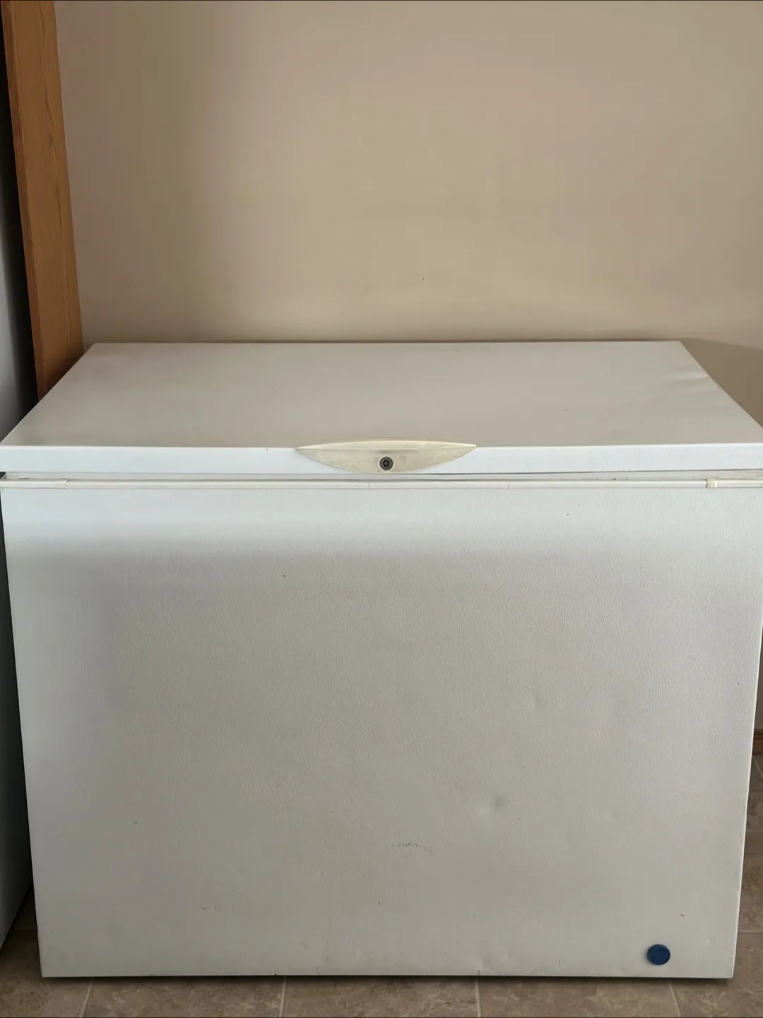 Frigidaire Commercial Chest Freezer