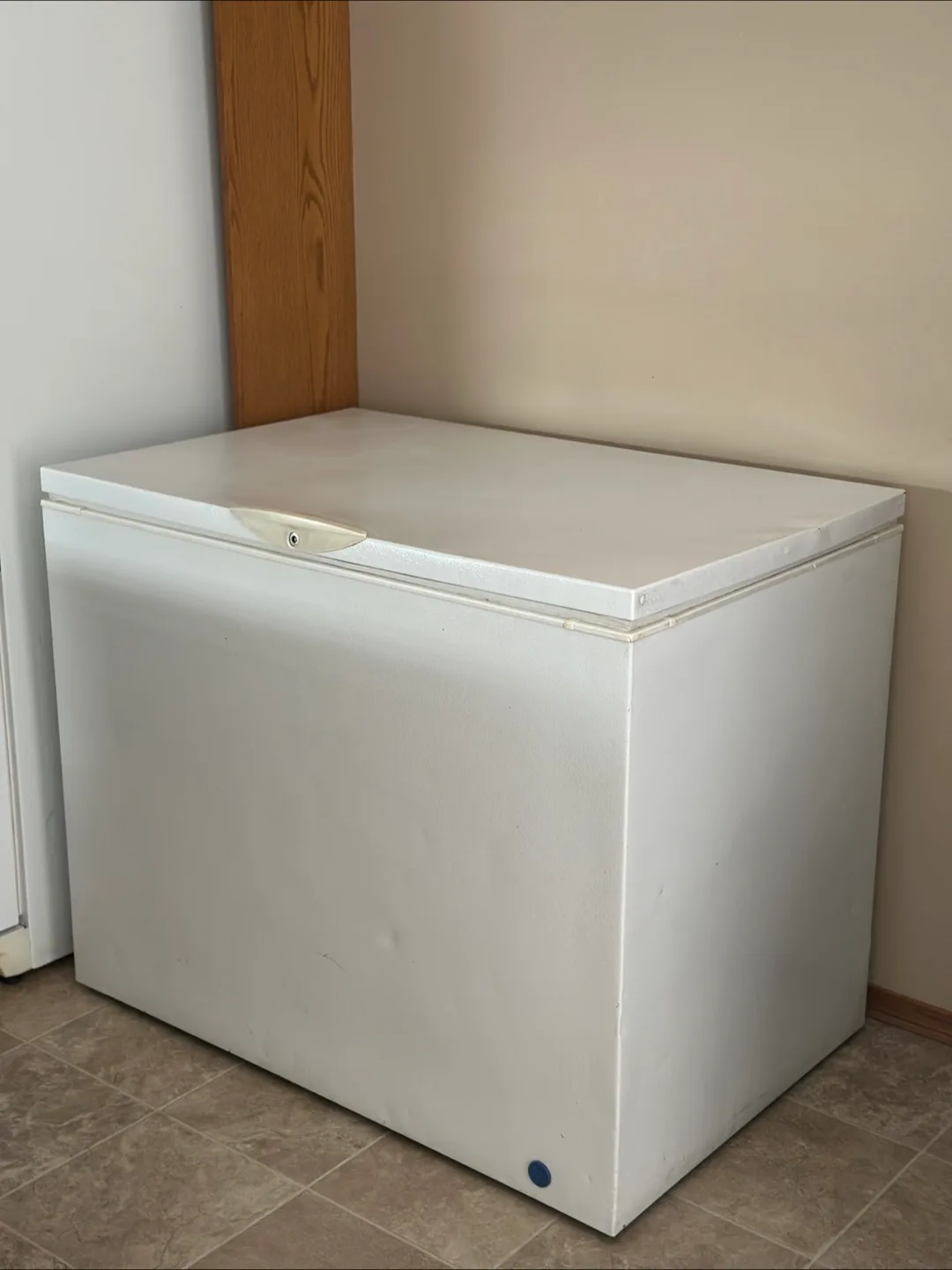 Frigidaire Commercial Chest Freezer image indicator(2)