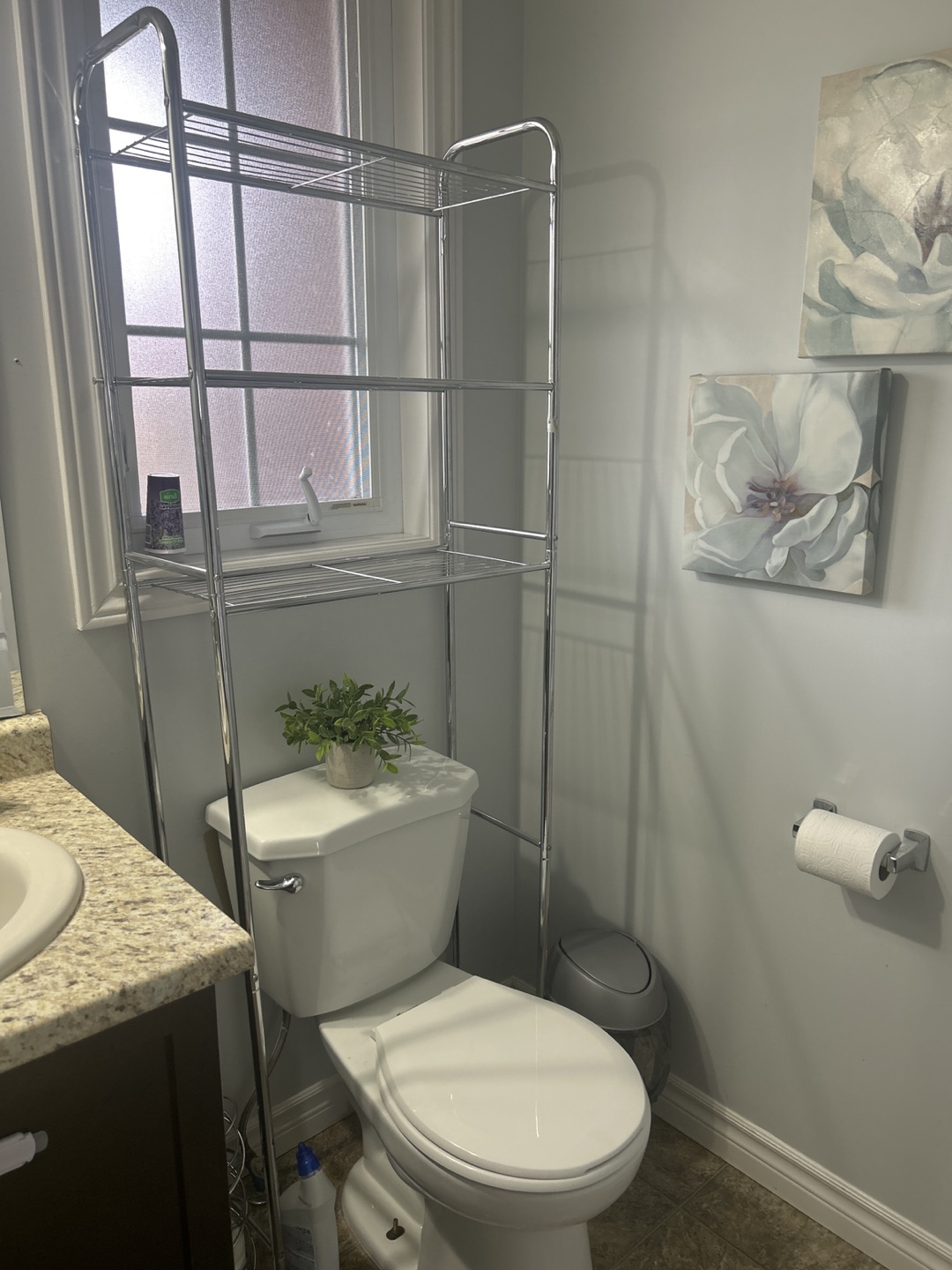 Over-the-Toilet Bathroom Storage Rack