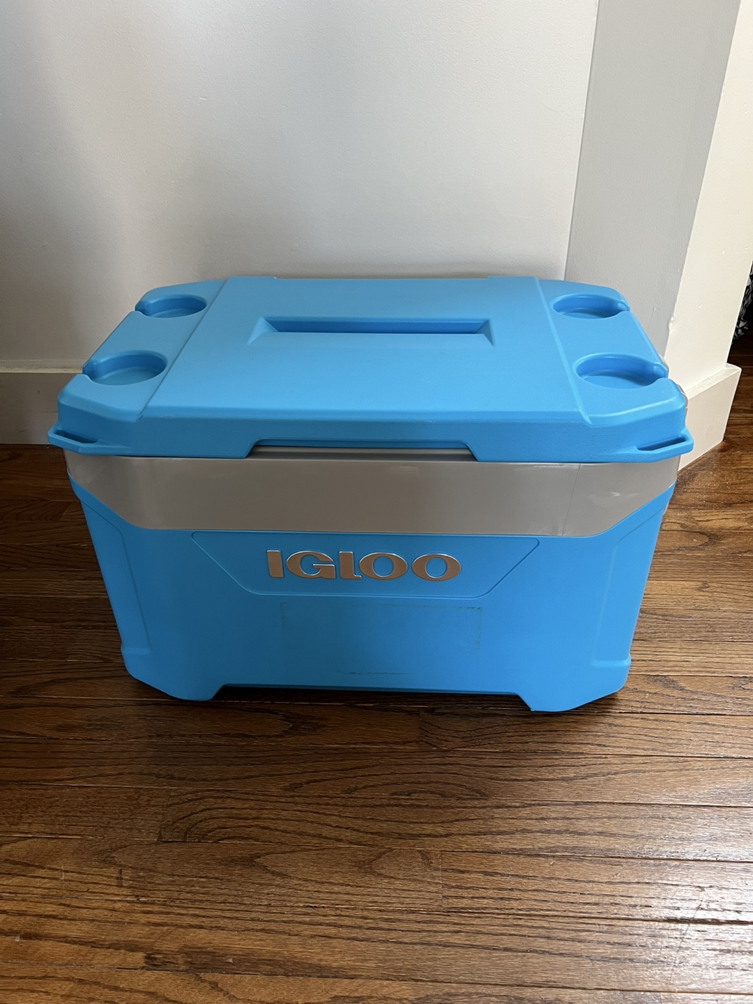 Igloo 50 Quart Cooler