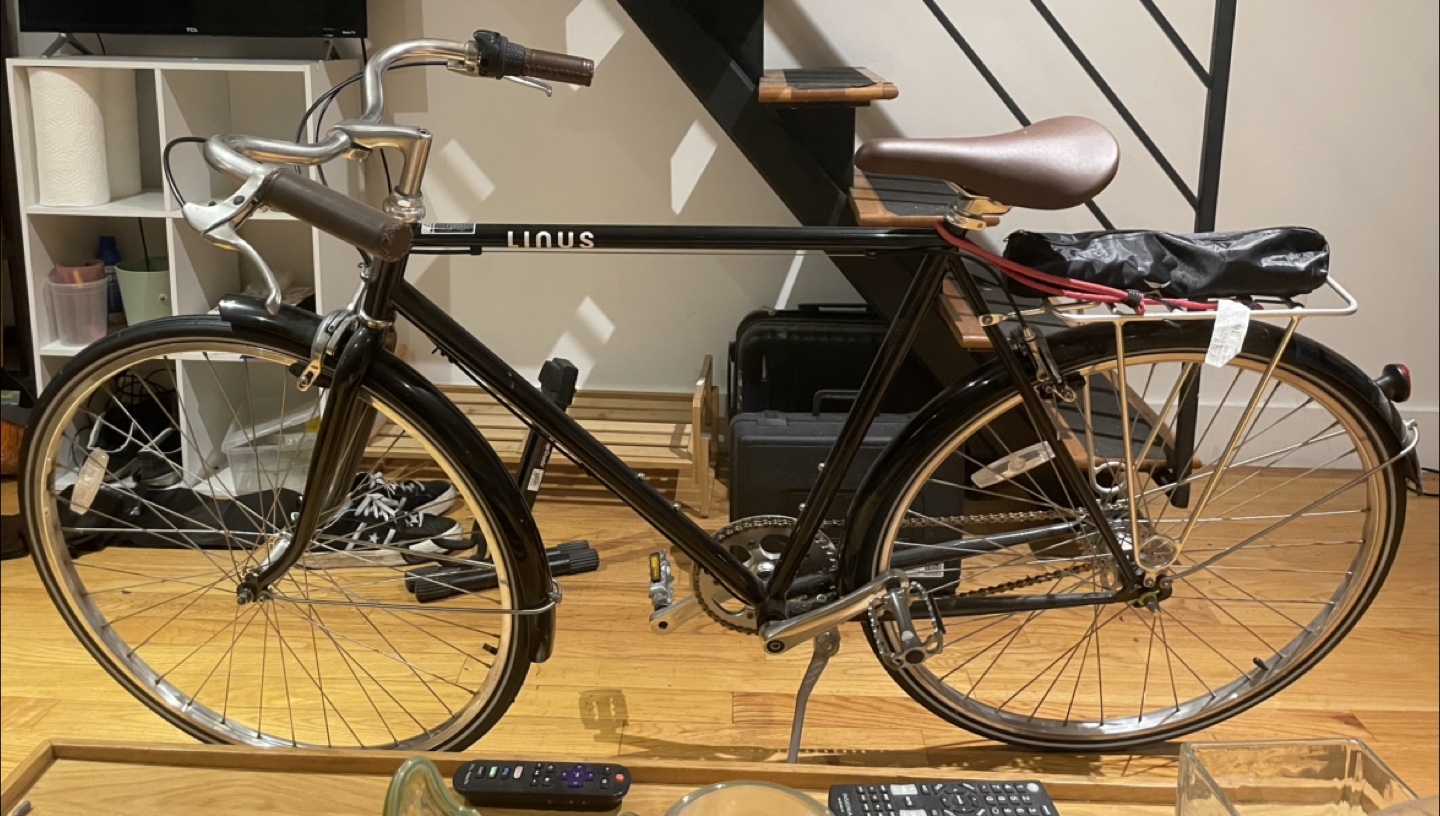 Linus Roadster 3i 3-Speed Bicycle
