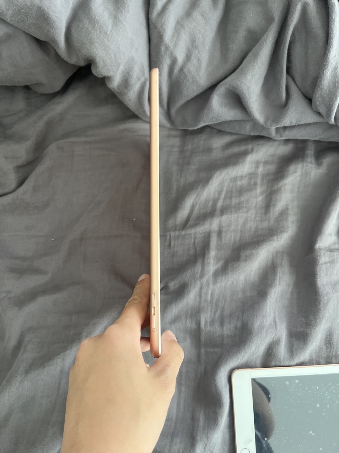 Rose Gold iPad 9.7-inch ipad air 2 - photo 5