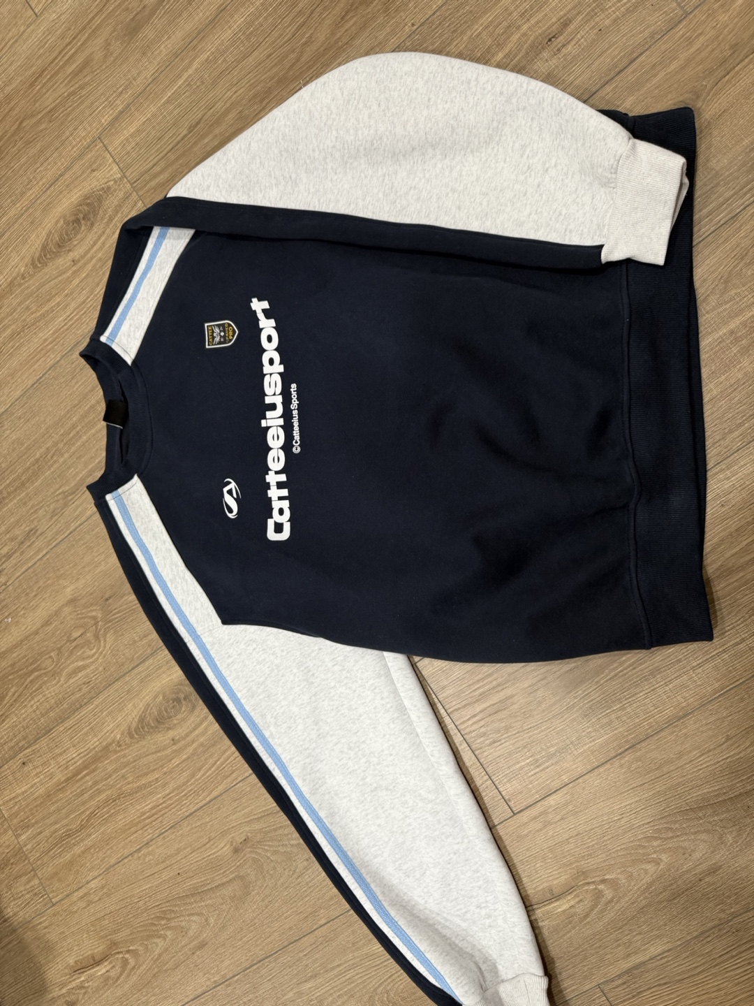 Vintage Carleeusport Sweatshirt - photo 2