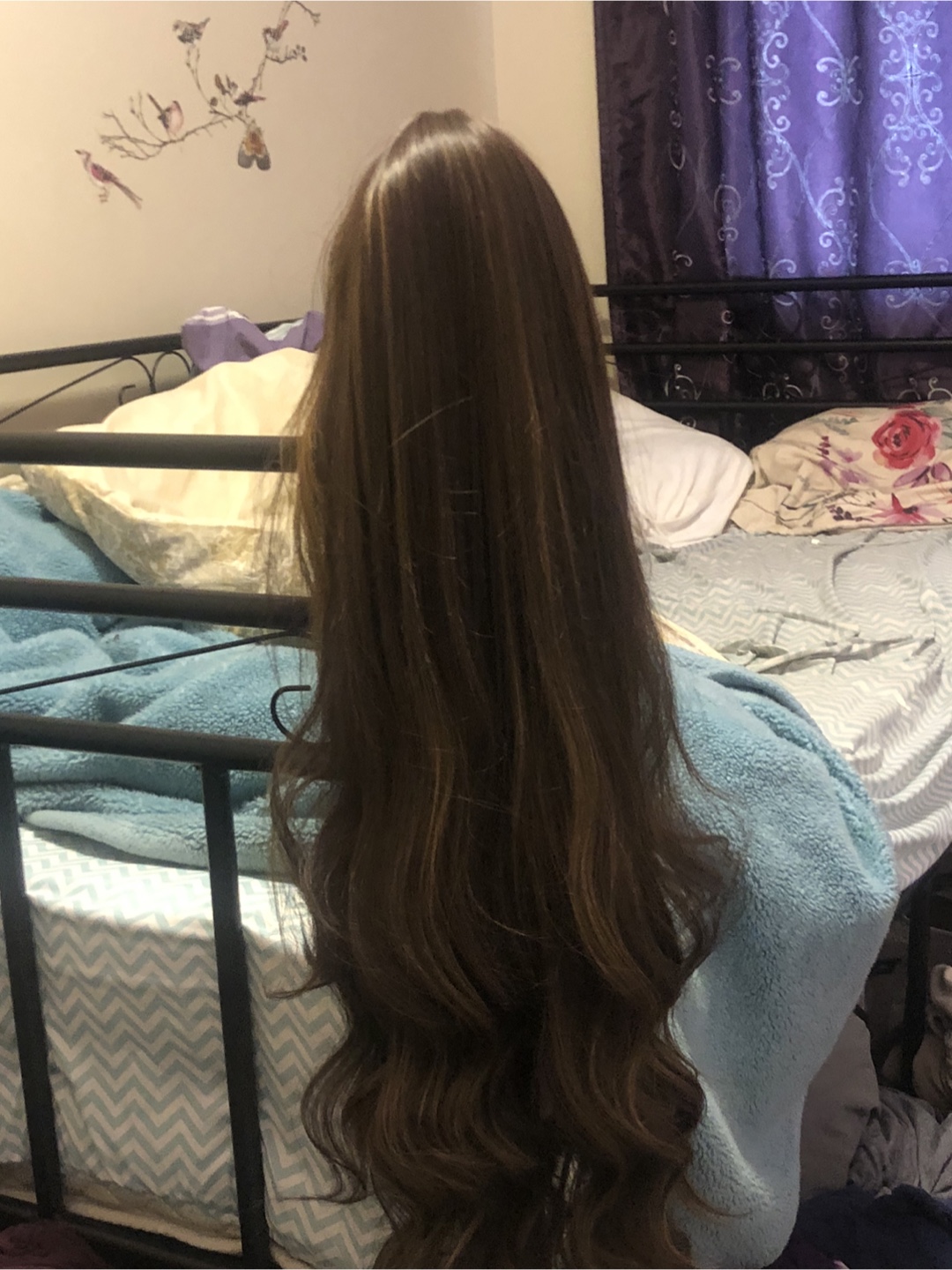 Long Brown Wavy wig