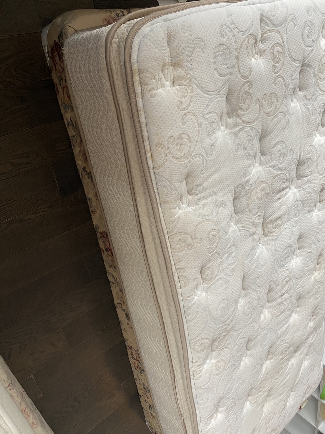 Free delivery extra thick pillow top single bed