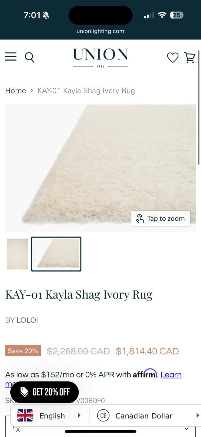 Kayla Shag Rug - Ivory   7'9" x 9'9" - photo 4