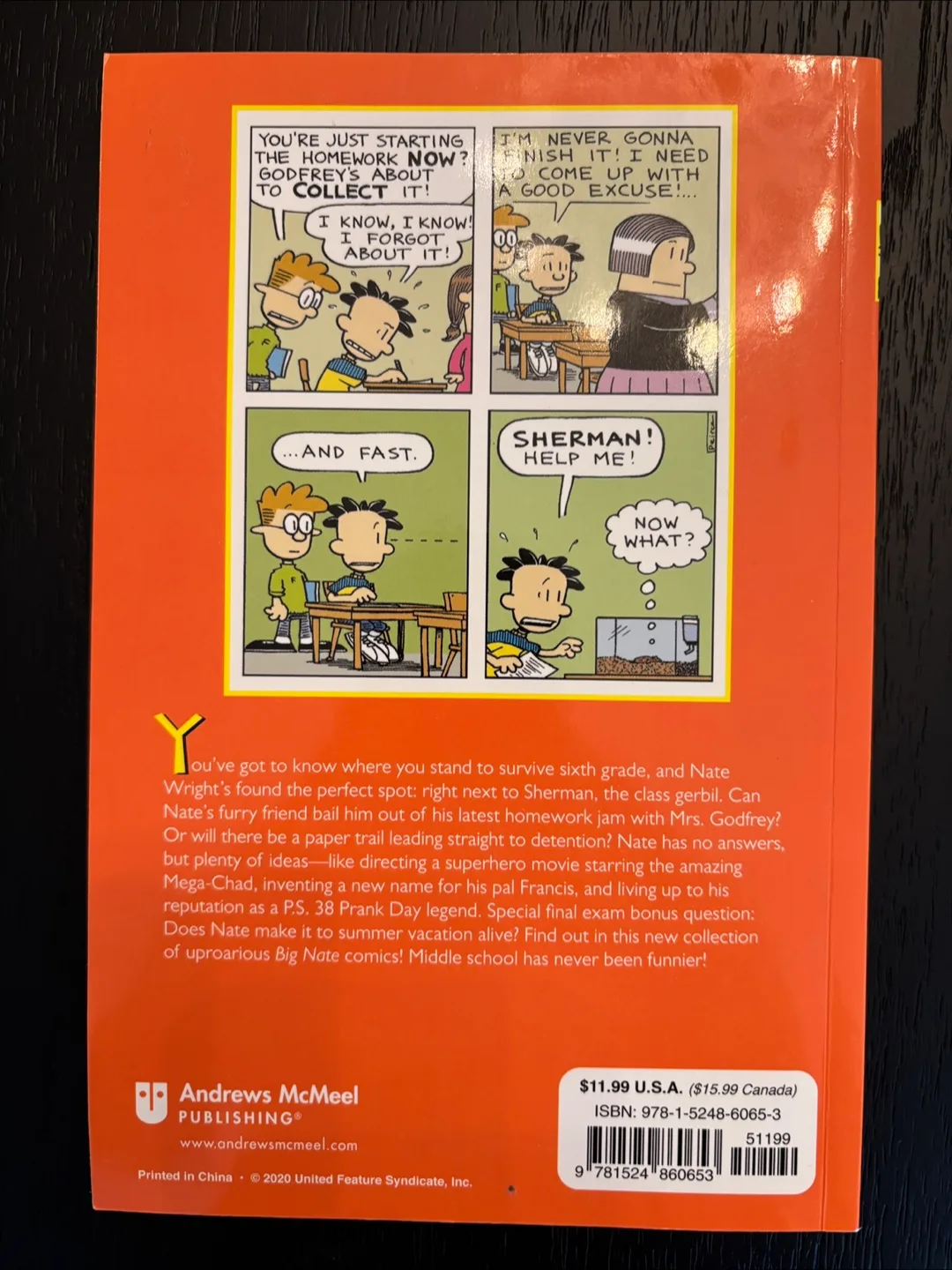 Big Nate Books - Paperback image indicator(2)