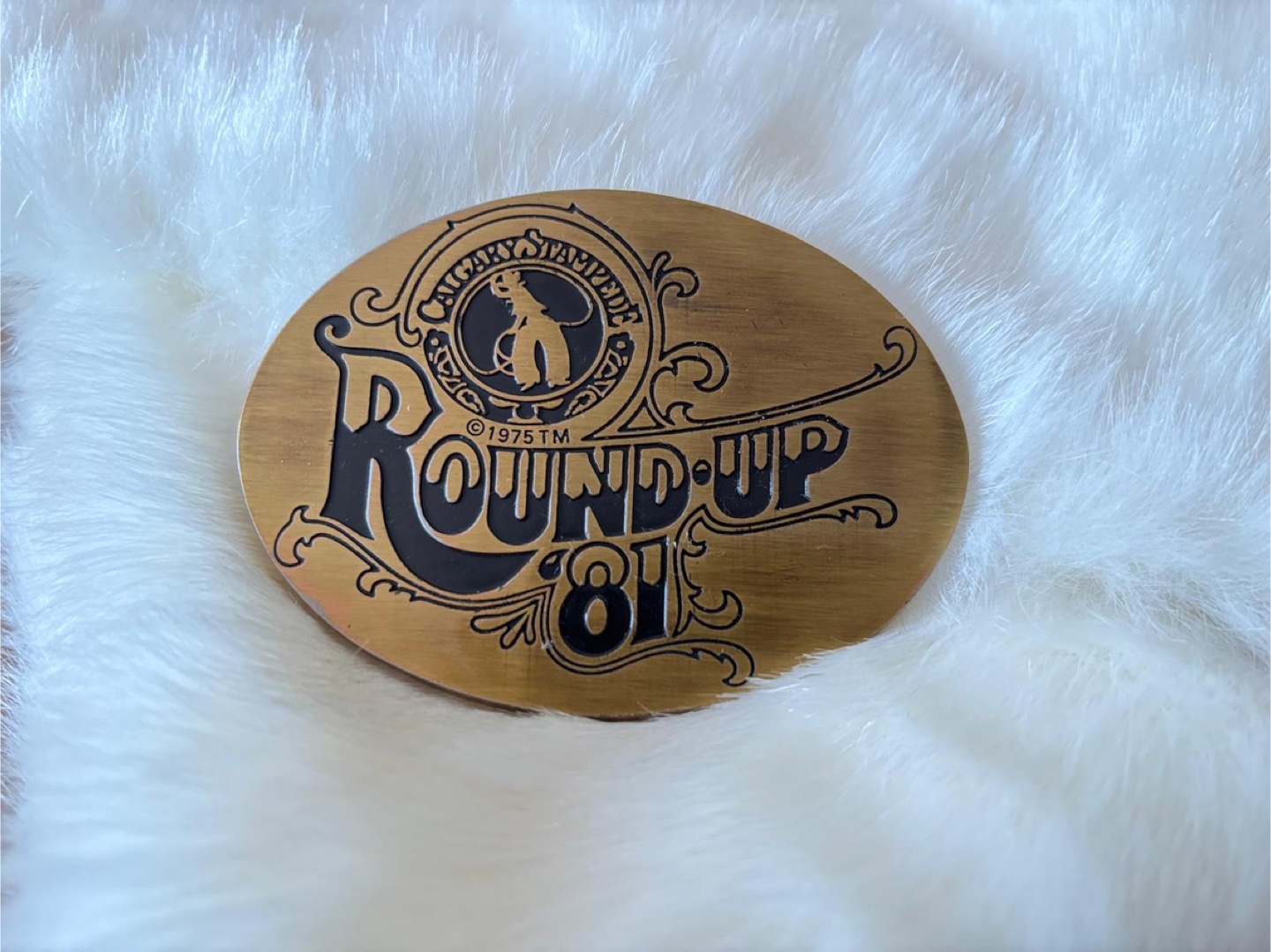 Rare Vintage 1981 Stampede Round Up Exhibitor Belt Buckle 81