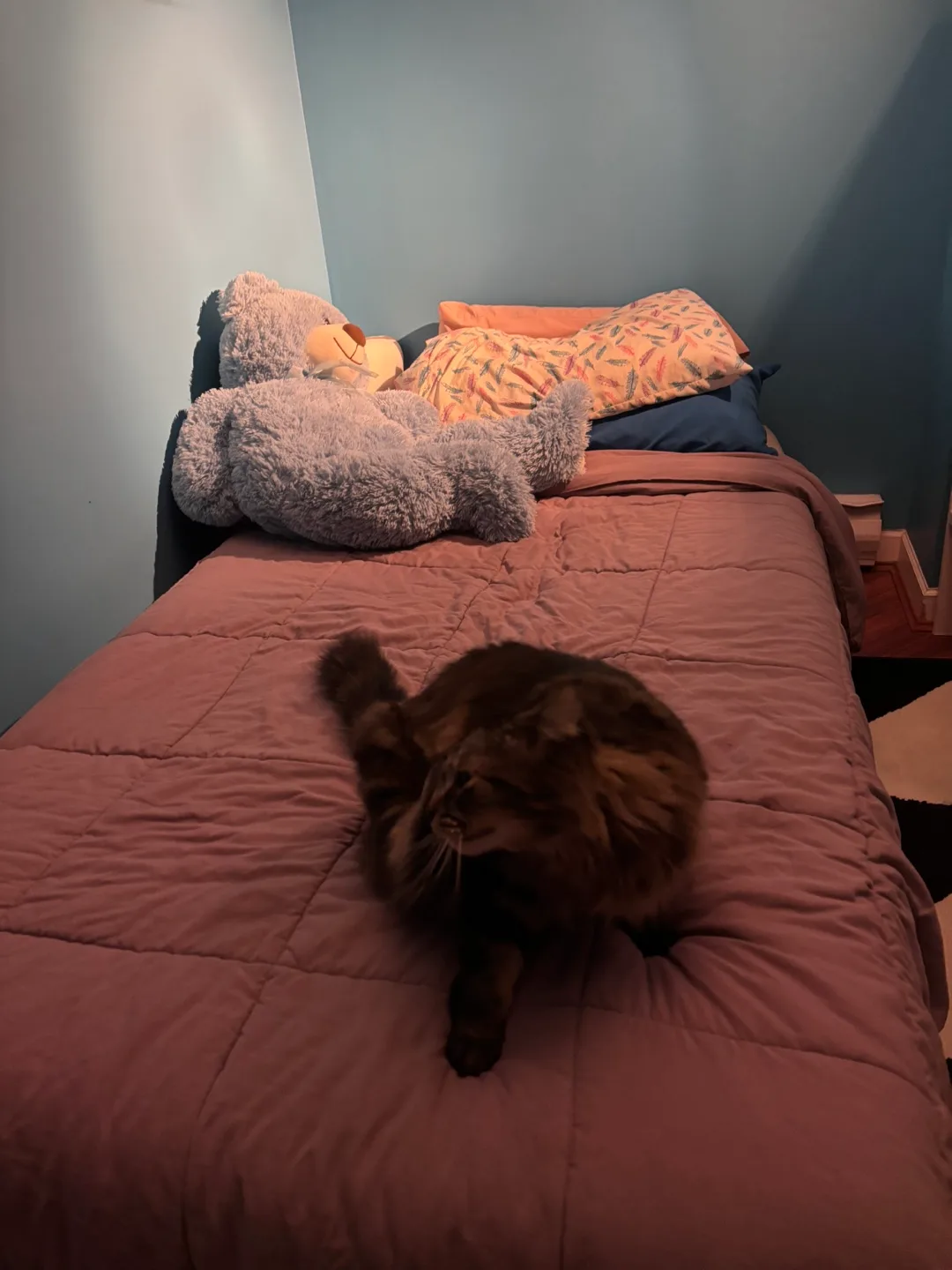 Comfy Twin Memory Foam Bed Set – All-In-One! image indicator(4)